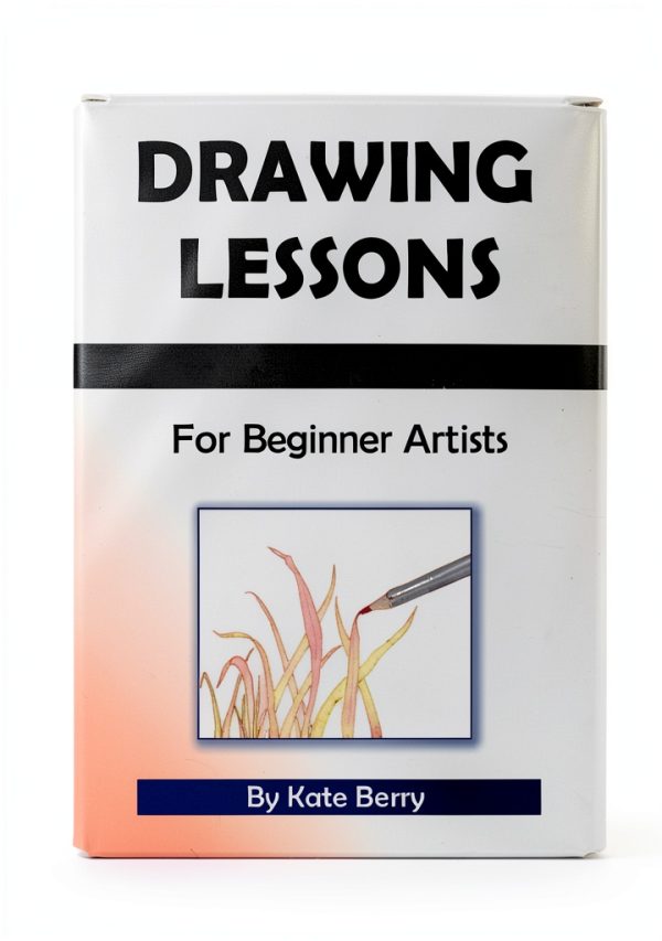 Graphic Design Drawing Workbook by Kate Berry 170 Page Kindle Edition-0